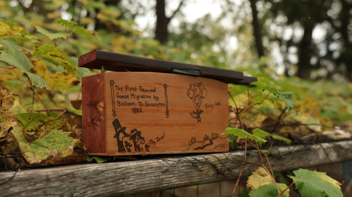 Dr. Honkington Goose Box