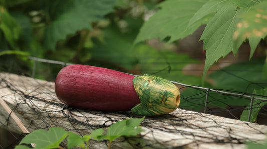 The Eggplant