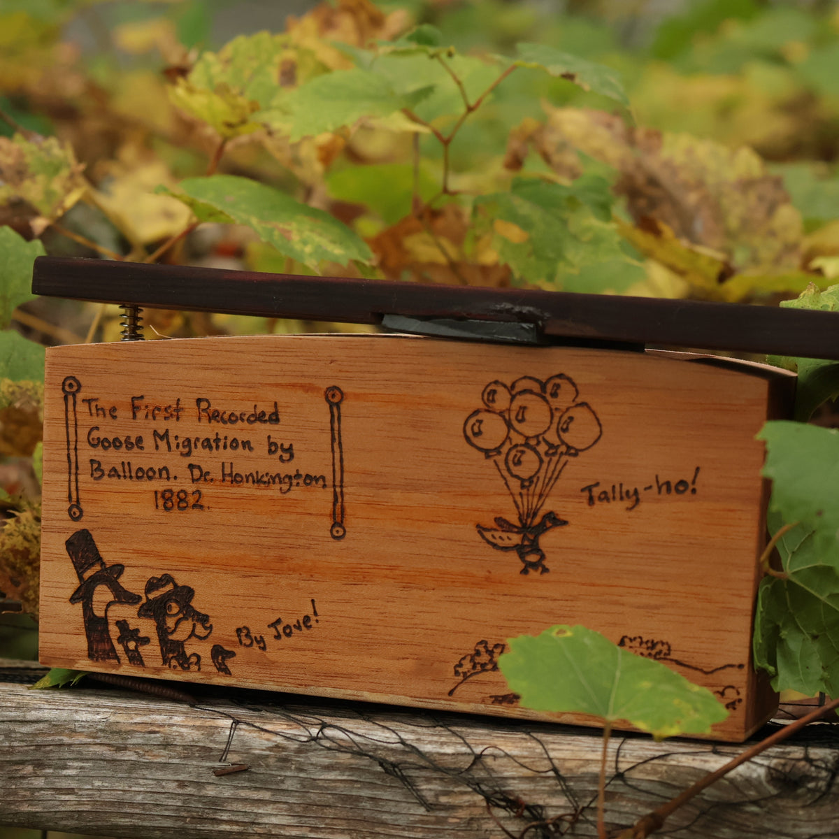 Dr. Honkington Goose Box