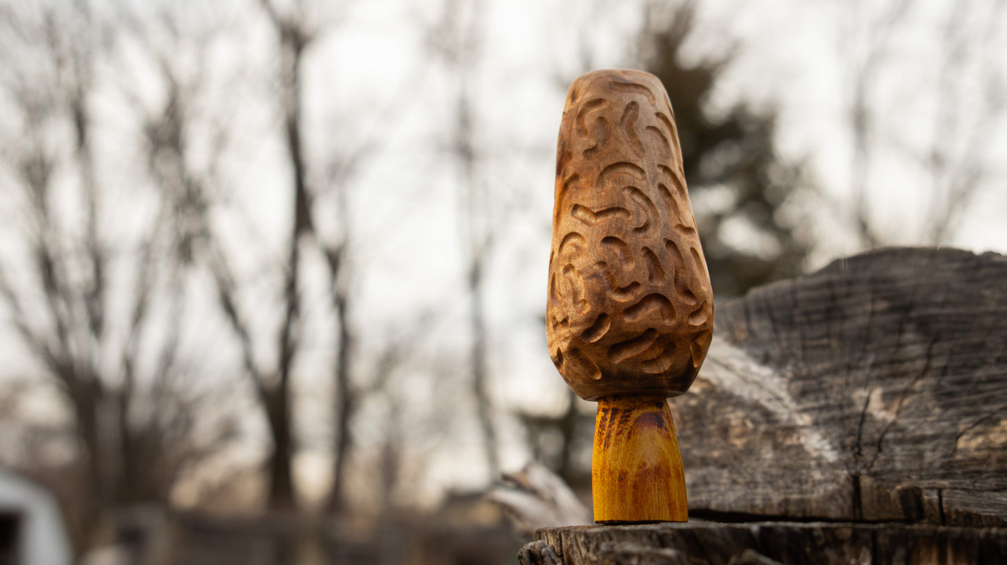 Maple Morel Call